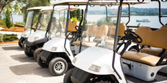 Golf Cart Batteries
