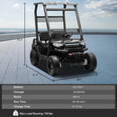 24V 2-Seater Ride-On Golf Cart Black
