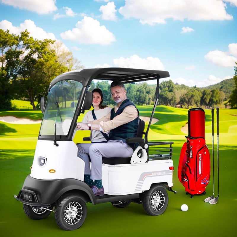 2-Passenger Electric Golf Cart White