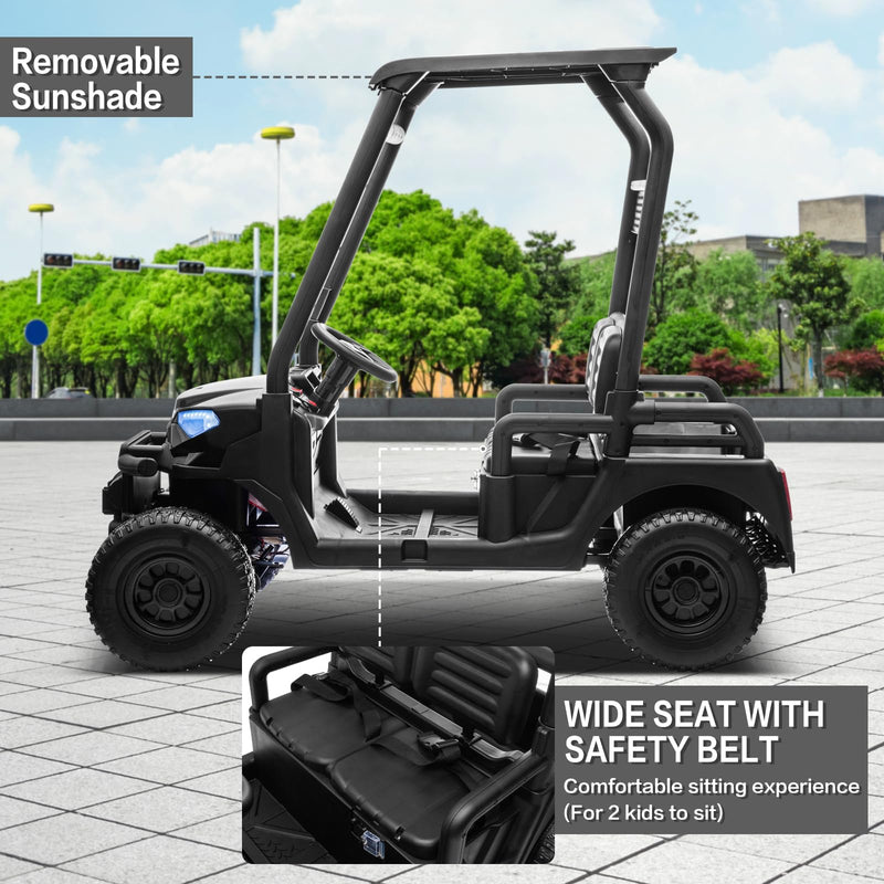 24V 2-Seater Ride-On Golf Cart Black
