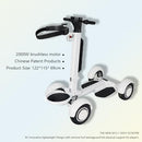 AESWGOF Electric Golf Scooter Cart with Seat