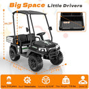 AceCruisers Kids 2-Seater Golf Cart Ride-On Car