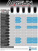 Arisun Cruze Street Golf Cart Tire Set 205/30-14 DOT (4-Ply)