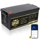 Bluetooth 36V LiFePO4 Golf Cart Battery – 105Ah by PUPVWMHB