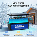 DC HOUSE 48V Lithium Golf Cart Battery with Smart Charger