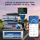 FIUNIE 36V 105Ah Lithium Golf Cart Battery
