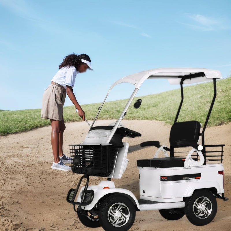 HAOWEIH Compact Electric Golf Cart