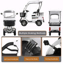 HAOWEIH Compact Electric Golf Cart