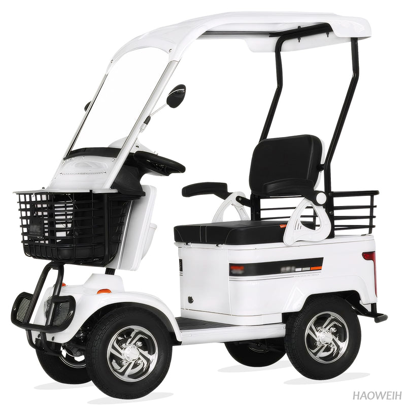HAOWEIH Compact Electric Golf Cart