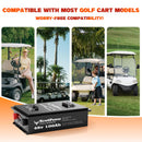 NewtiPower 48V 100Ah Lithium Golf Cart Battery