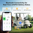 Power Queen 48V 100Ah Bluetooth Lithium Battery for Golf Carts
