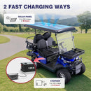 Viplay 4-Seat Electric Golf Cart in Blue