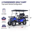 Viplay 4-Seat Electric Golf Cart in Blue
