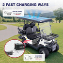 Viplay 4-Seat Solar Electric Cart