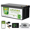 ZEERBOO 48V 100Ah Lithium Golf Cart Battery - Bluetooth & LCD
